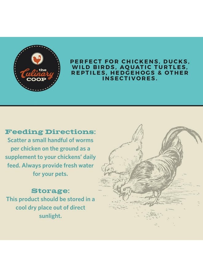 فلكرز حلوى الدجاج الفاخرة من Fluker's Culinary Coop، مزيج من حشرات مجففة، 20 أونصة - Image 3