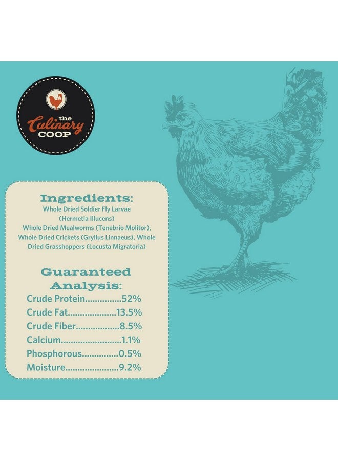 فلكرز حلوى الدجاج الفاخرة من Fluker's Culinary Coop، مزيج من حشرات مجففة، 20 أونصة - Image 2
