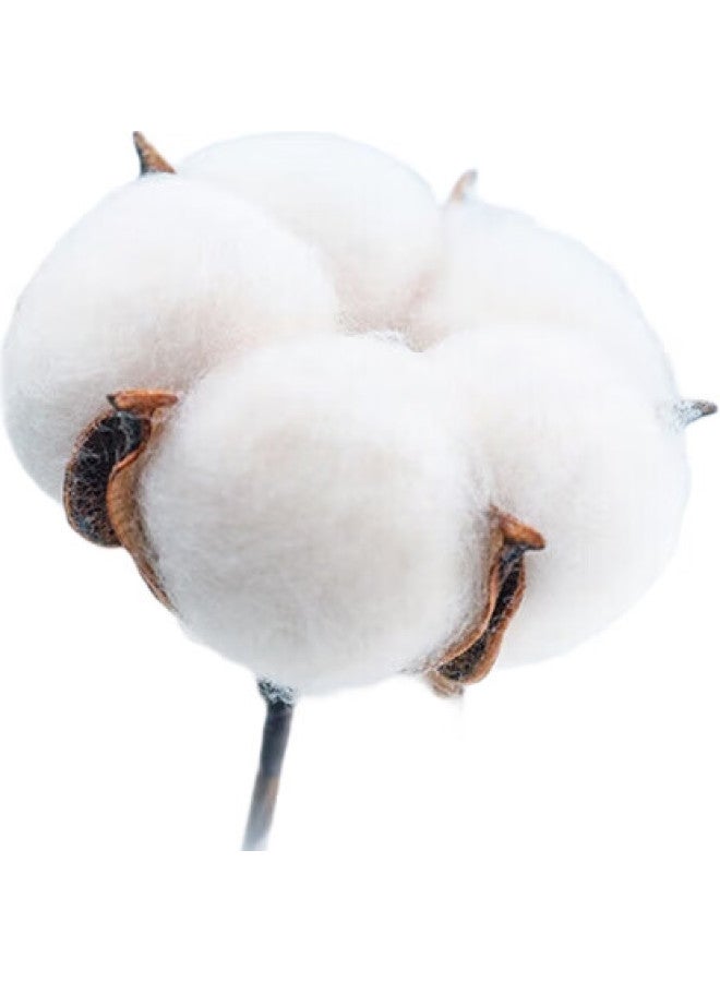 Grace Jieliya Towel Gift Set, 6-Piece Long-Staple Cotton Absorbent Towels With Shower Flowers, Company Benefits, Excluding Handbag - Image 2