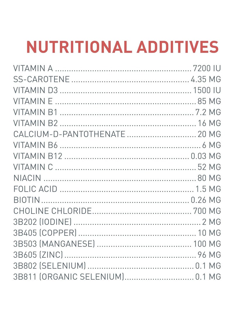 Nutribird A21 Pet Food (800g) - pzsku/Z581D3BEEF166A42F2DBCZ/45/_/1732123999/97c60a6e-33cc-4ca2-870f-6fa5985a35b0