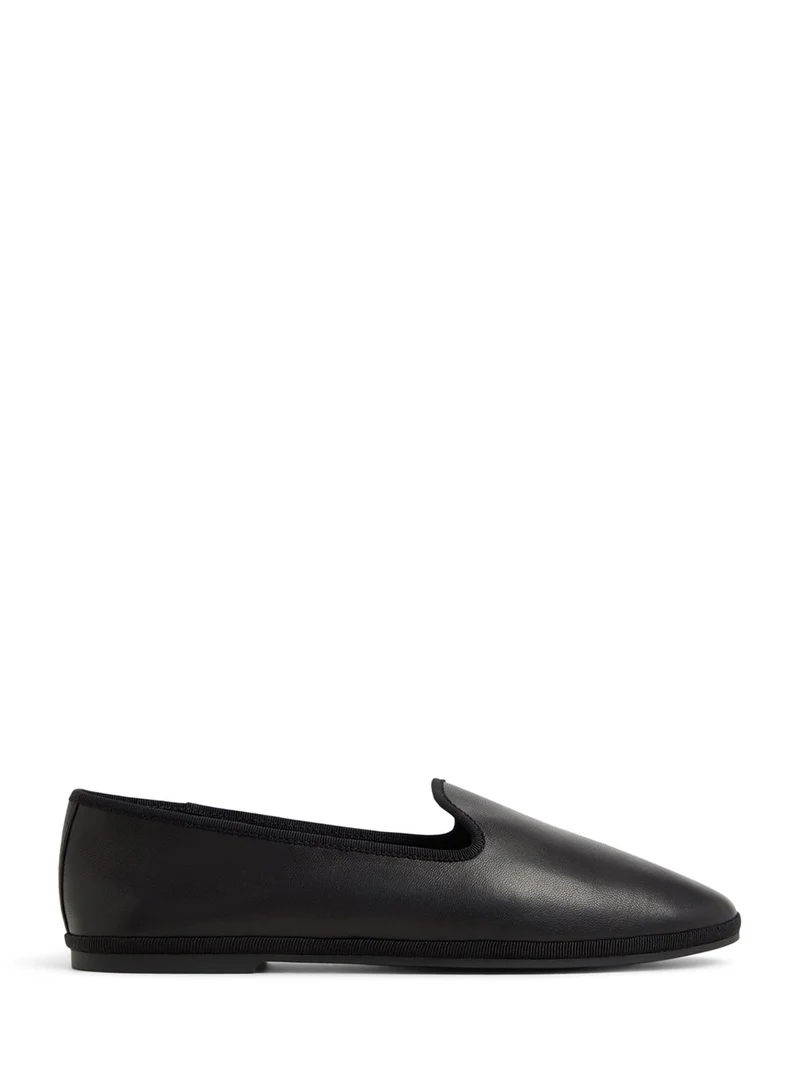 ALDO Pointed Toe Ballerinas