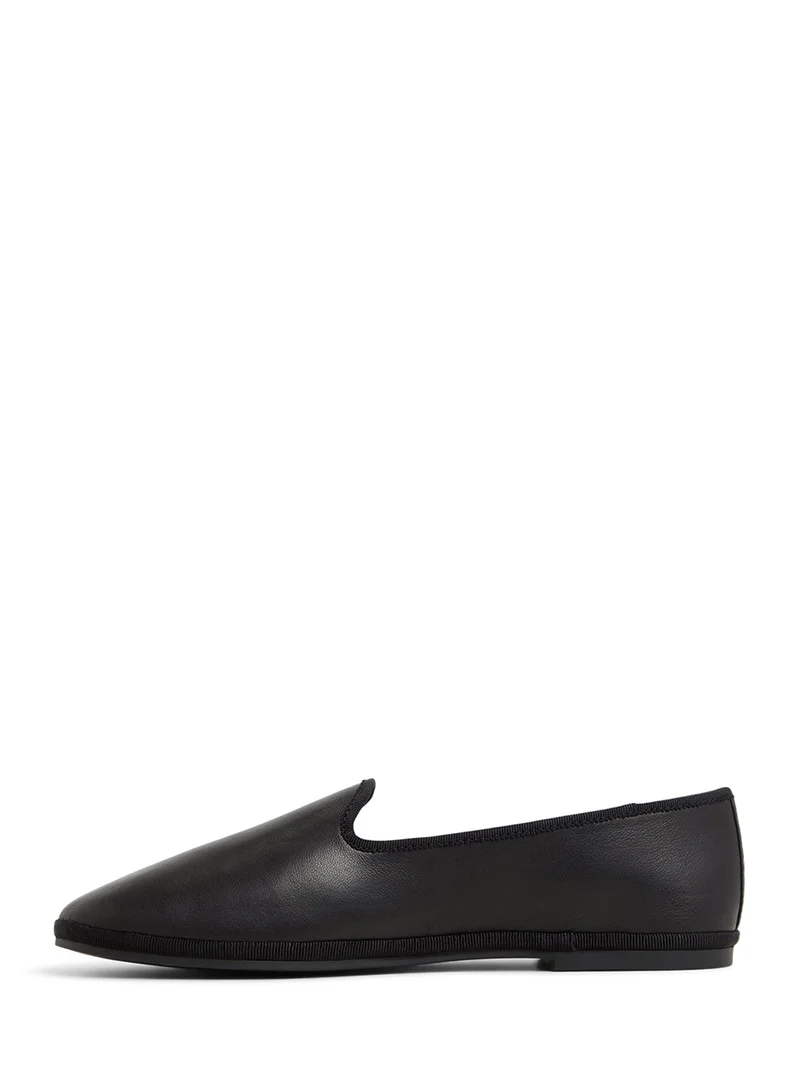ALDO Pointed Toe Ballerinas