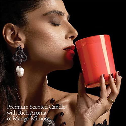 ESNA HOME Luxury Highly Scented Soy Candle Natural Lavender Essential Oils Aromatherapy Candles for Relaxation Unique Gifts for Women Living Room Decor Holiday Gift for Christmas 8.8oz 50 Hours Long Clean Burn - Image 5