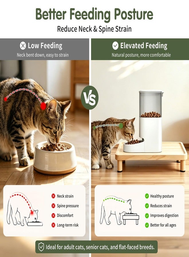 Midollarle Cat Food Stand, Elevated Cat Feeding Station for Bowls & Feeders - Image 4