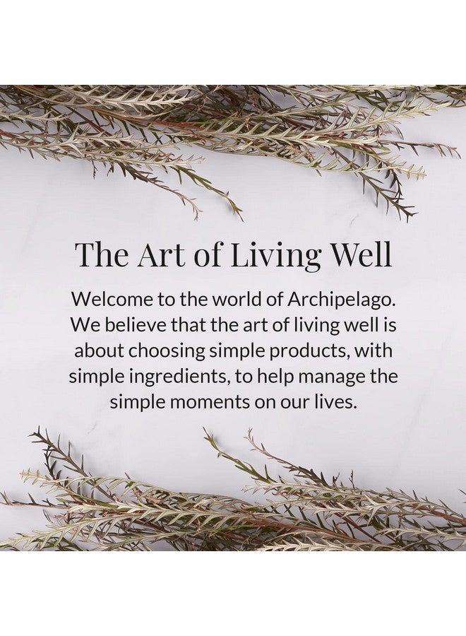 Archipelago Botanicals Archipelago Botanicals Scented Candle, Lanai, Hand-Poured Premium Wax Blend, Candle for The Home, Lead-Free Cotton Wicks, Glass Candle Jar with Gift Box, Burns Approx. 60 Hours, 10 Oz. - Image 3