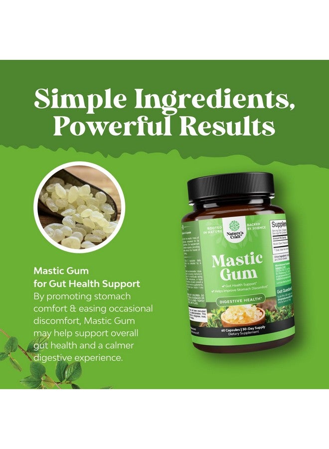 نايتشرز كرافت كبسولات صمغ المصطكي عالية القوة - مكمل عشبي للهضم يوفر راحة من اضطراب المعدة للبالغين - نباتي، غير معدل وراثيًا، خالٍ من الغلوتين، ومصنوع في منشأة أمريكية معتمدة من ممارسات التصنيع الجيدة - لطيف ومهدئ (30 حصة) - Image 5