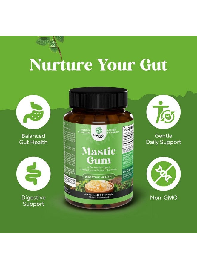 نايتشرز كرافت كبسولات صمغ المصطكي عالية القوة - مكمل عشبي للهضم يوفر راحة من اضطراب المعدة للبالغين - نباتي، غير معدل وراثيًا، خالٍ من الغلوتين، ومصنوع في منشأة أمريكية معتمدة من ممارسات التصنيع الجيدة - لطيف ومهدئ (30 حصة) - Image 4