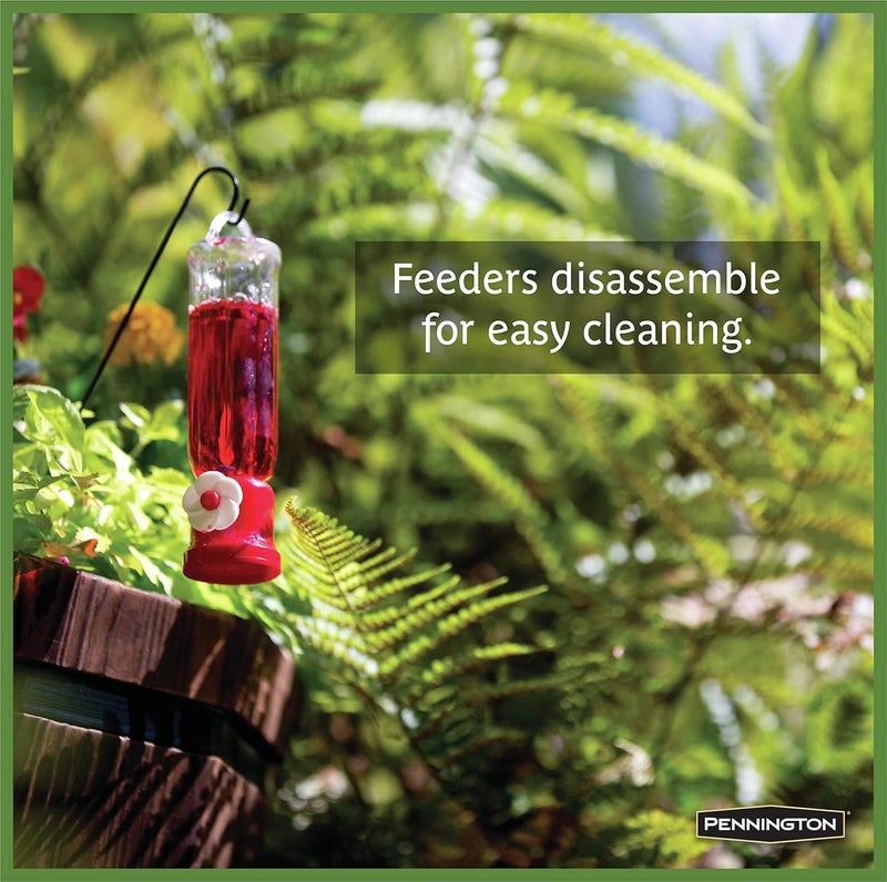 Pennington 100504340 Hummingbird Feeder Planter, Red - Image 5