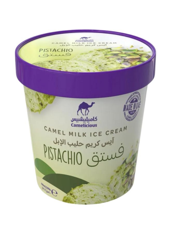 Pistachio Camel Milk Ice Cream Tub