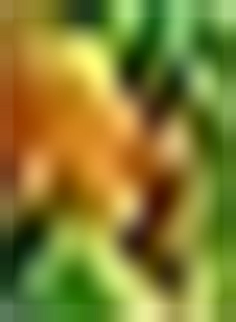 جي جوت 50Stück Orangen Bitterkürbis Samen Güne Haut eigenartige Form Kletterpflanzen Schattenklettern können für die Bepflanzung des Hausgartens verwendet Werden - Image 1