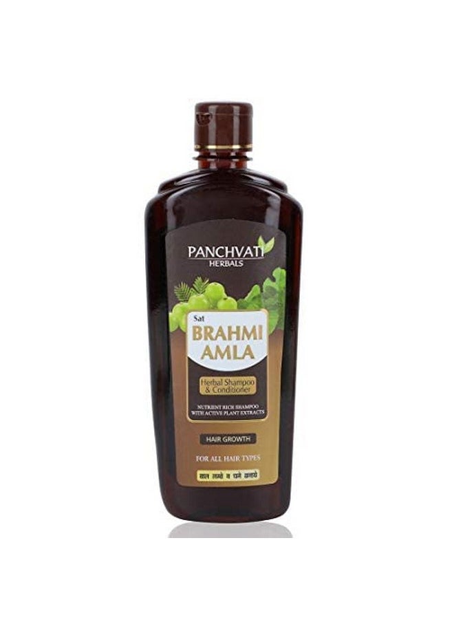 Panchvati Hair Protection (Hair Oil 100 Ml + Brahmi Amla Shampoo 450 Ml) Combo Pack 550 Ml, Reduce Hair Fall  - Image 1