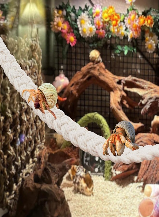 kathson 2 PCS 26 Inches Hermit Crab Climbing Toys,Reptile Vines Toy Hermit Crab Rope Ladder Bendable Hermit Crab Supplies Tank Terrarium Accessories for Hermit Crabs Lizards Leopard Geckos - Image 3