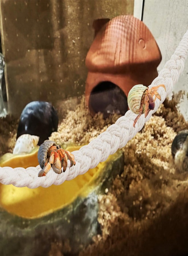 kathson 2 PCS 26 Inches Hermit Crab Climbing Toys,Reptile Vines Toy Hermit Crab Rope Ladder Bendable Hermit Crab Supplies Tank Terrarium Accessories for Hermit Crabs Lizards Leopard Geckos - Image 4