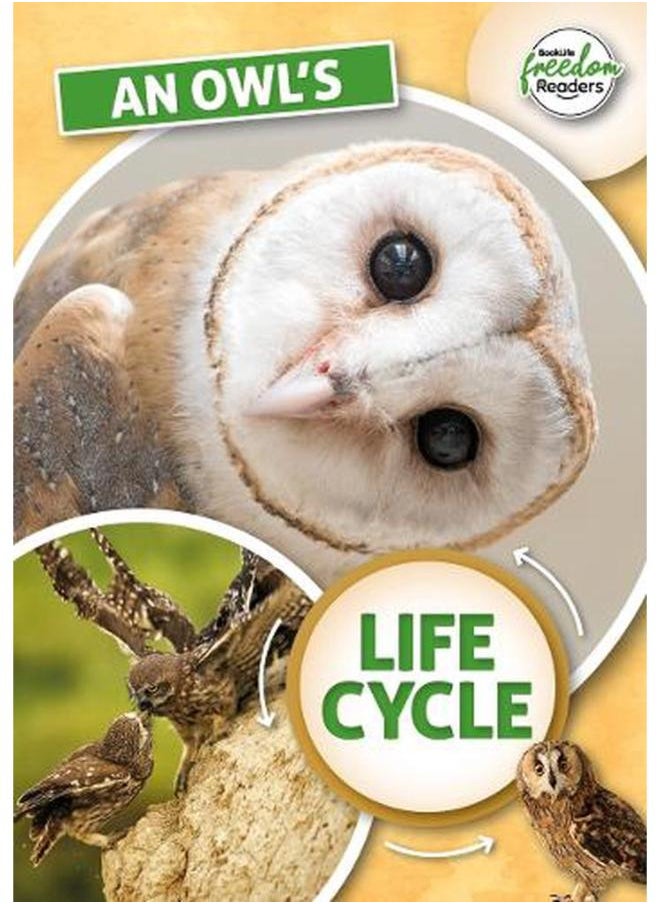 An Owl`s Life Cycle BookLife Freedom Readers - Non-Fiction 