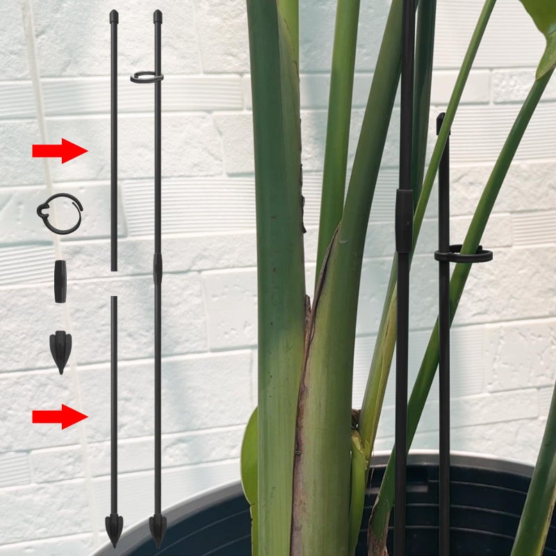 Rifny Plant Stakes for Indoor Plants, RIFNY 14 Inch Plant Support Stakes with Clips, Tall Adjustable Plant Sticks for Indoor Monstera Tomato Orchid Potted Plants Flower (6 PCS, Black) - Image 3