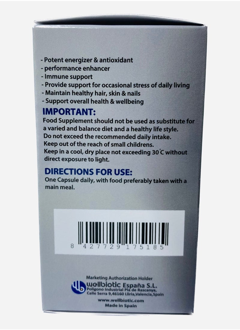 Wellbiotic - Multimax Advanced Multivitamin and Mineral Complex with Antioxidant Capsules 90s - Image 1