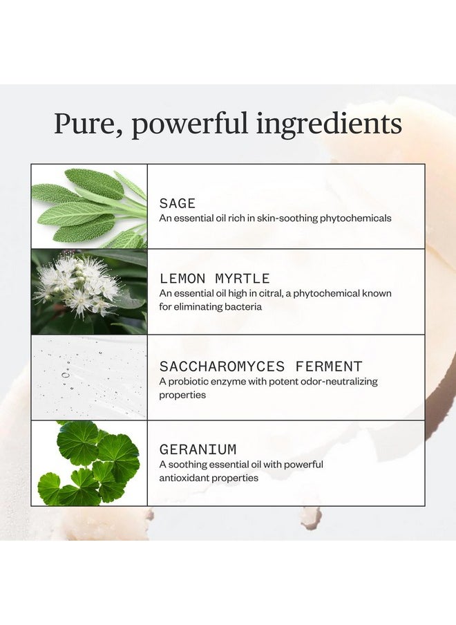 Ursa Major Ursa Major Sublime Sage Natural Spray Deodorant | Aluminum-free, Vegan, Cruelty-free, Non-Staining | 1.79 ounces  - Image 2