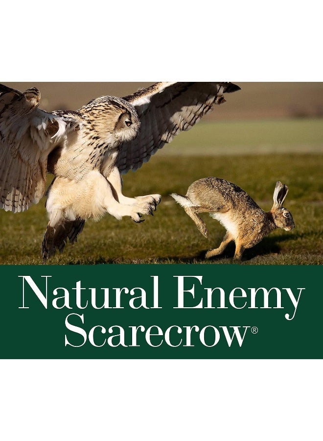 Dalen GARDENEER Dalen SOL-R Action Large Solar Fake Owl Decoy to Scare Birds Away - 18" Tall - 360Âº Rotating Head - Image 4