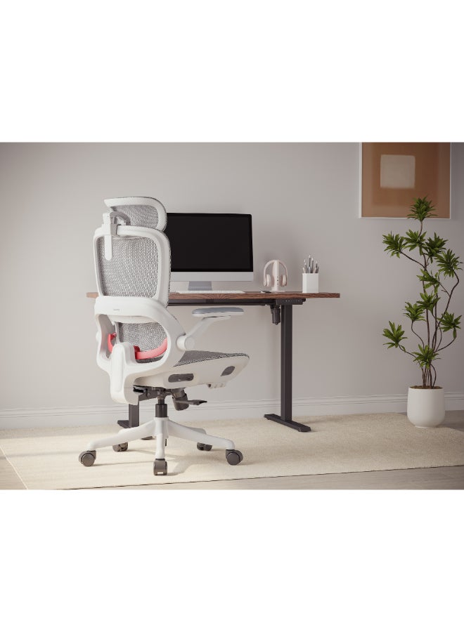 SIHOO B100-pro-102 Ergonomic Office Chair with 3D Headrest, 4D Armrest, 135° Relycing Angle  Use for Home / Office / Gaming - Image 3