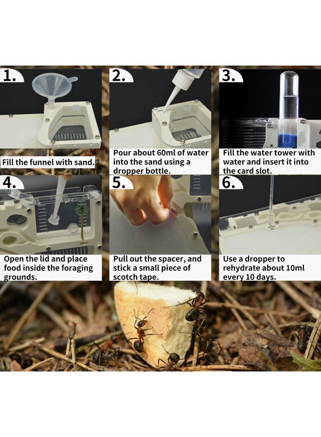 Kahopy Ant Farming Castle, Habitat Science Learning Kit, Farms for Live Ants, Colony Educational Toy Kit Kids - Image 3