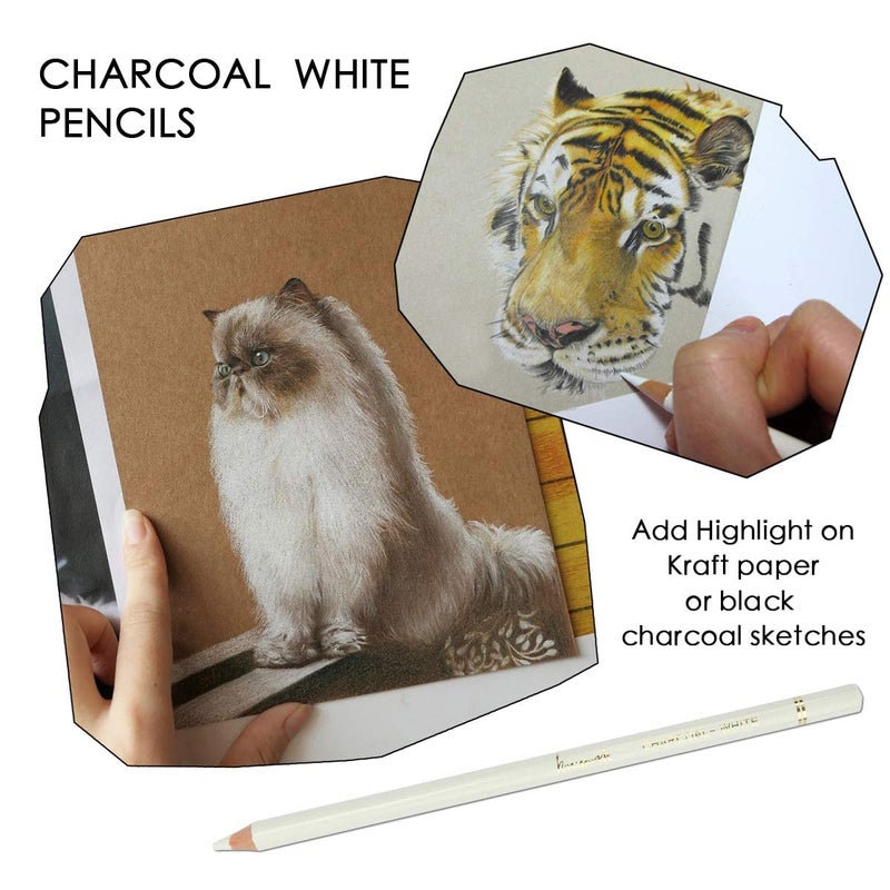 53 Arts 53 Arts Professional White Charcoal Pencils Set - Pack of 3 Sketch Highlight Pencils for Drawing, Shading & Blending | Ideal for Artists & Beginners  - Image 3
