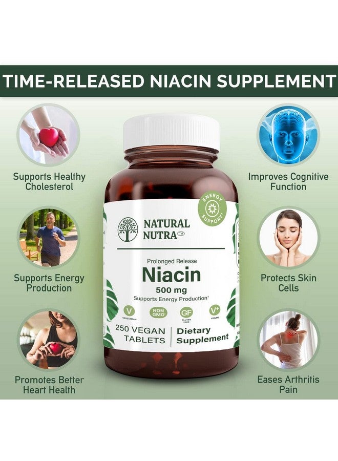 Natural Nutra Time-Release Slow Niacin 500mg (Vitamin B3), Support Healthy Cholesterol, Promotes Cardiovascular Health, Promotes Skin Cells and Improve Cognitive Function, 250 Vegan Tablets - Image 3