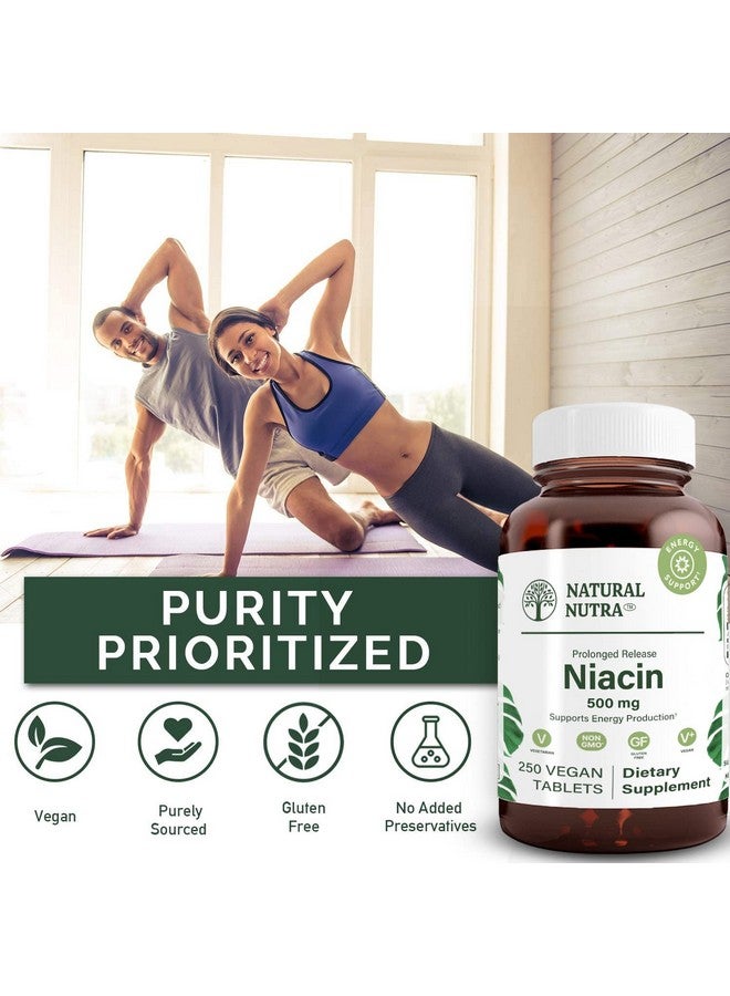 Natural Nutra Time-Release Slow Niacin 500mg (Vitamin B3), Support Healthy Cholesterol, Promotes Cardiovascular Health, Promotes Skin Cells and Improve Cognitive Function, 250 Vegan Tablets - Image 4