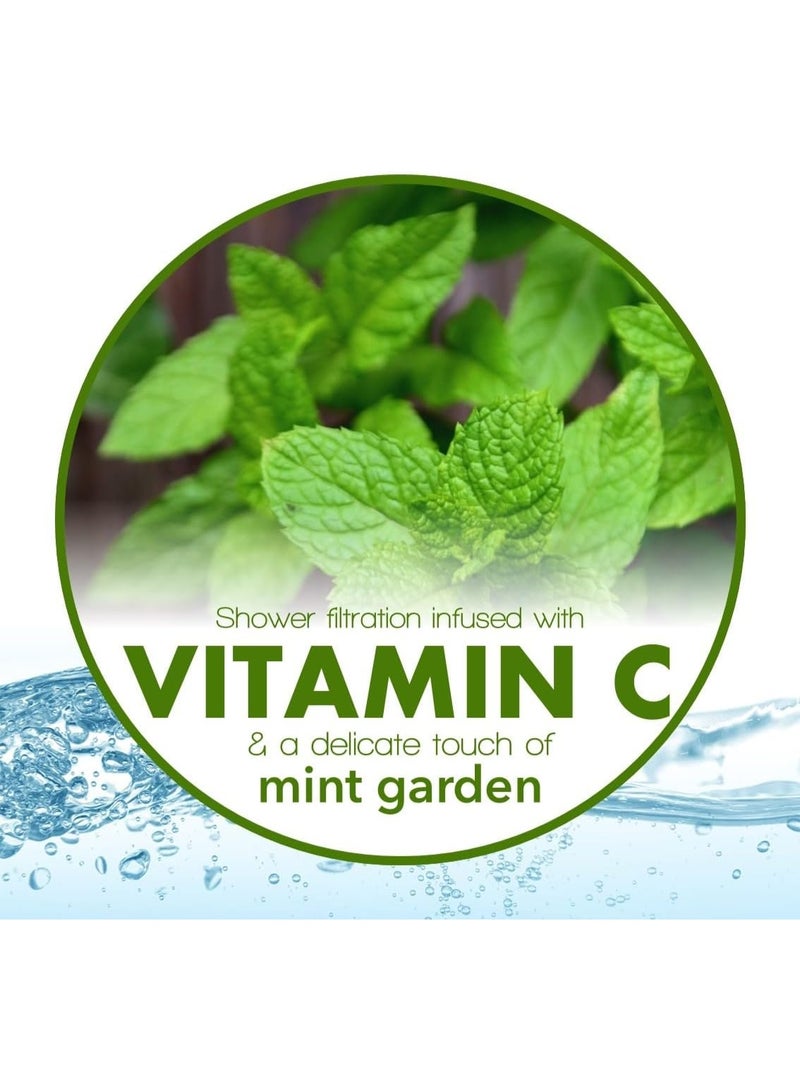 Be-Vita Be-Vita Korean Vitamin Shower Filter - Anti Hair Loss - Prevents Dry Skin - Chlorine Removal - Rust Removal - Relaxing Aromatherapy - Non-Toxic (Mint Garden)  - Image 2