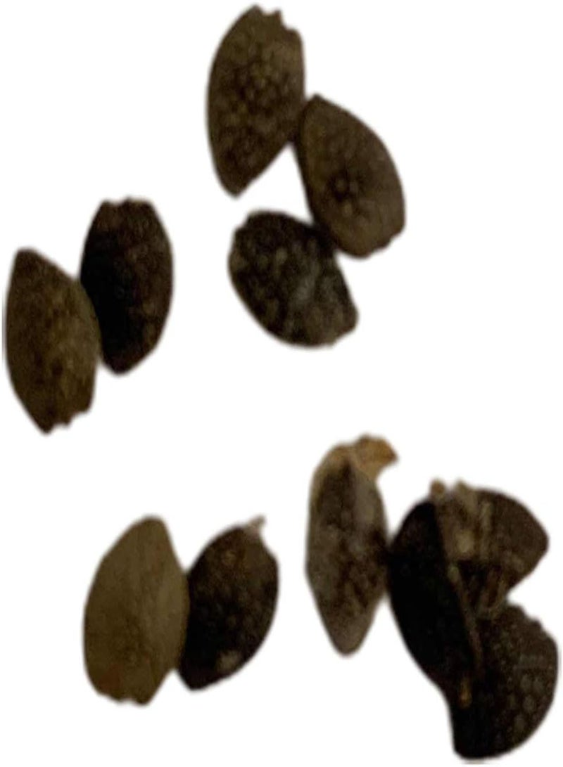 GGOOT Seeds 10Pcs Passion Fruit Seeds Nutritious Edible Portable Disease Resistant Brazil Nut Seeds for Farm Passion Fruit Seeds for Yard - Image 2