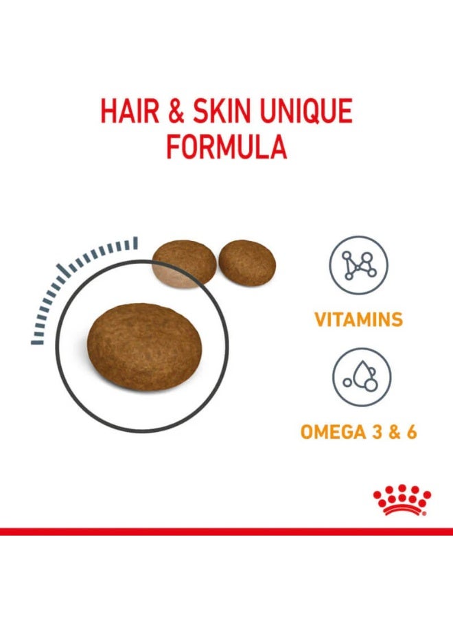 ROYAL CANIN طعام جاف للقطط من رويال كانين للعناية بالشعر والجلد - كيس 10 كجم للمعطف اللامع والجلد الصحي - Image 4