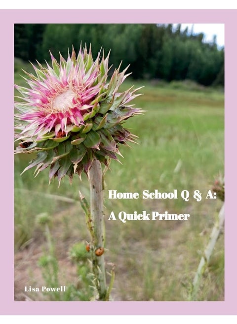 Home School Q & A: A Quick Primer