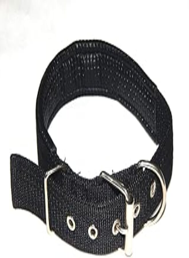 OR Nylon leather collar for dogs small