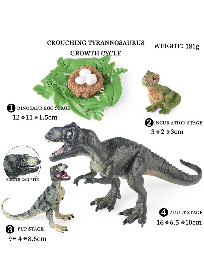 HALAMODO 4-Piece Squatting T-Rex Growth Cycle Model Set (Complete Four Stages: Dinosaur Egg, Baby T-Rex, Juvenile To Adult Tyrannosaurus Rex), Highly Realistic Mini Dinosaur Animal Model Statues, Premium Safe Plastic Material, For Children Cognitive Education, Bath And Pool Toys, Boys Girls Birthday Party Gifts - Image 1