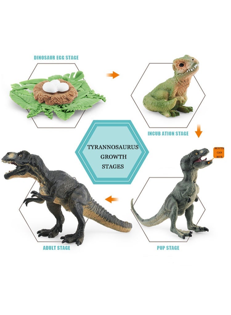 HALAMODO 4-Piece Squatting T-Rex Growth Cycle Model Set (Complete Four Stages: Dinosaur Egg, Baby T-Rex, Juvenile To Adult Tyrannosaurus Rex), Highly Realistic Mini Dinosaur Animal Model Statues, Premium Safe Plastic Material, For Children Cognitive Education, Bath And Pool Toys, Boys Girls Birthday Party Gifts - Image 2