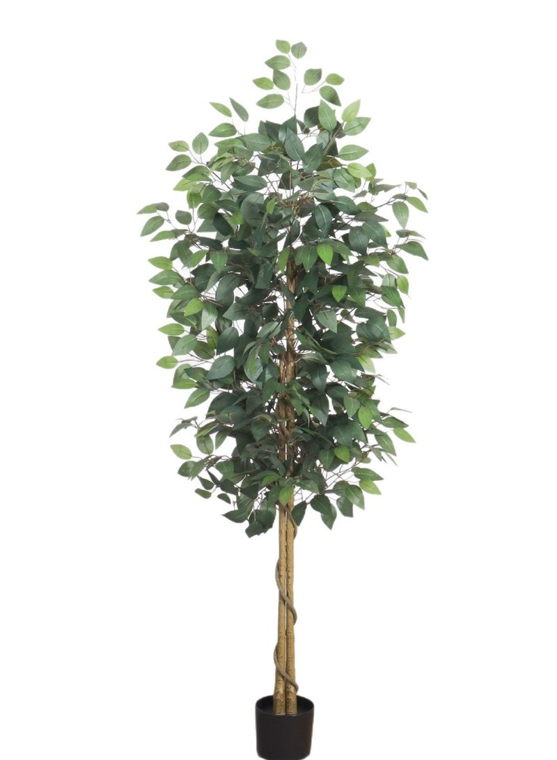 Simulated Banyan Tree Potted Plant Available In Two Sizes 150CM/180CM For You To Choose From - Image 1