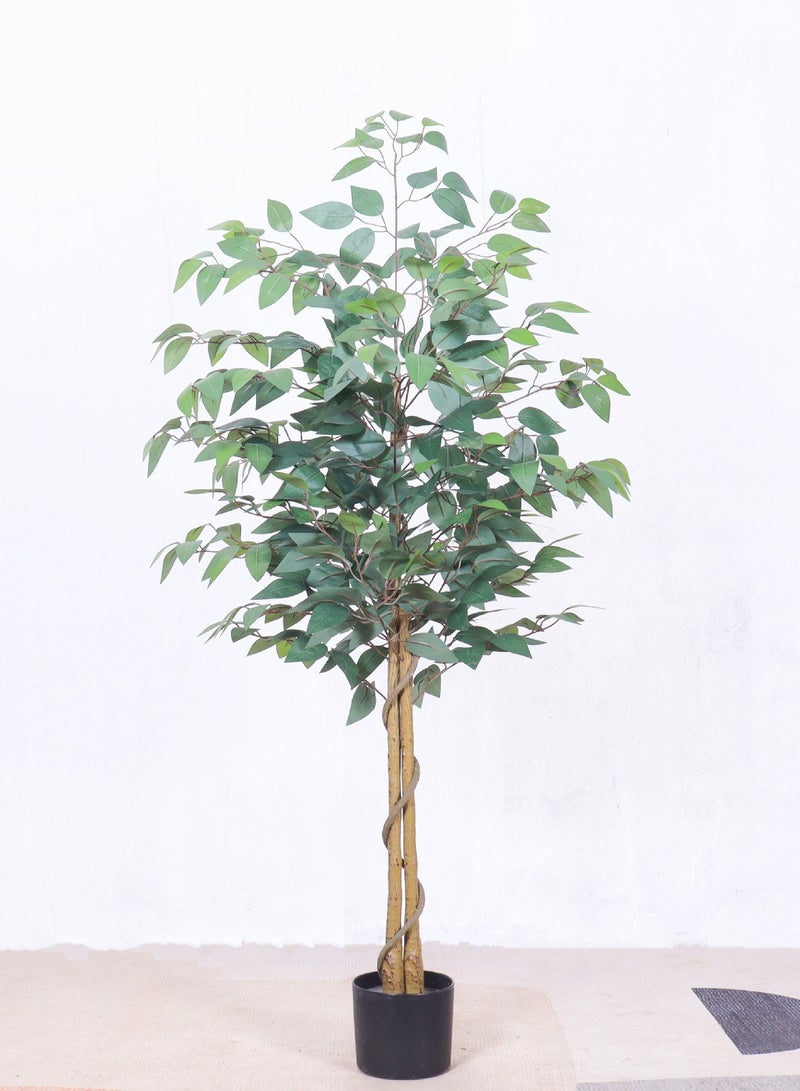 Simulated Banyan Tree Potted Plant Available In Two Sizes 150CM/180CM For You To Choose From - Image 3