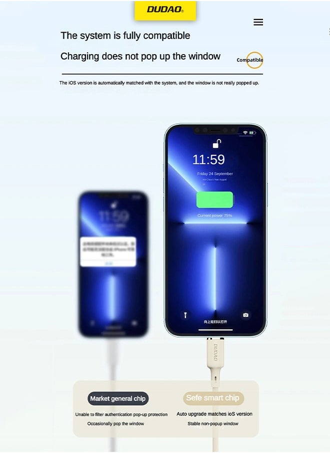 DUDAO - 2-In-1 100W TYPE C Fast Charging Cable, TYPE C to TYPE C and Lightning Cable, with High Temperature Resistant, 1.2M - Image 1