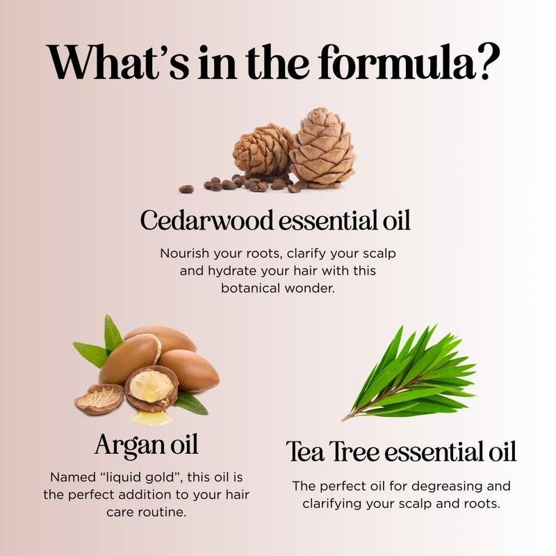 Maple Holistics Cleansing Shampoo for Dry Scalp Care - Cedarwood and Rosemary Shampoo for Men and Flaky Scalp Moisturizer with Tea Tree Oil for Oily Scalp - Deep Clarifying Shampoo for Build Up with Rosemary Oil - Image 3