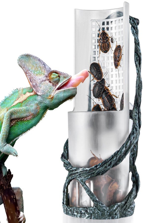 OIIBO Chameleon Feeding Bowl, Resin Vine Reptile Feeder with Grid Plate for Insect to Climb and Move, Reptile Hunting Bowl with Suction Cup for Chameleon, Lizard, Bearded Dragons, Iguana, Gecko, Frog - Image 1
