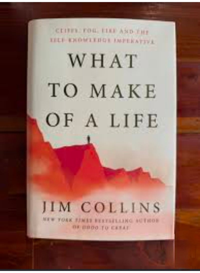 What to Make of a Life - Image 2