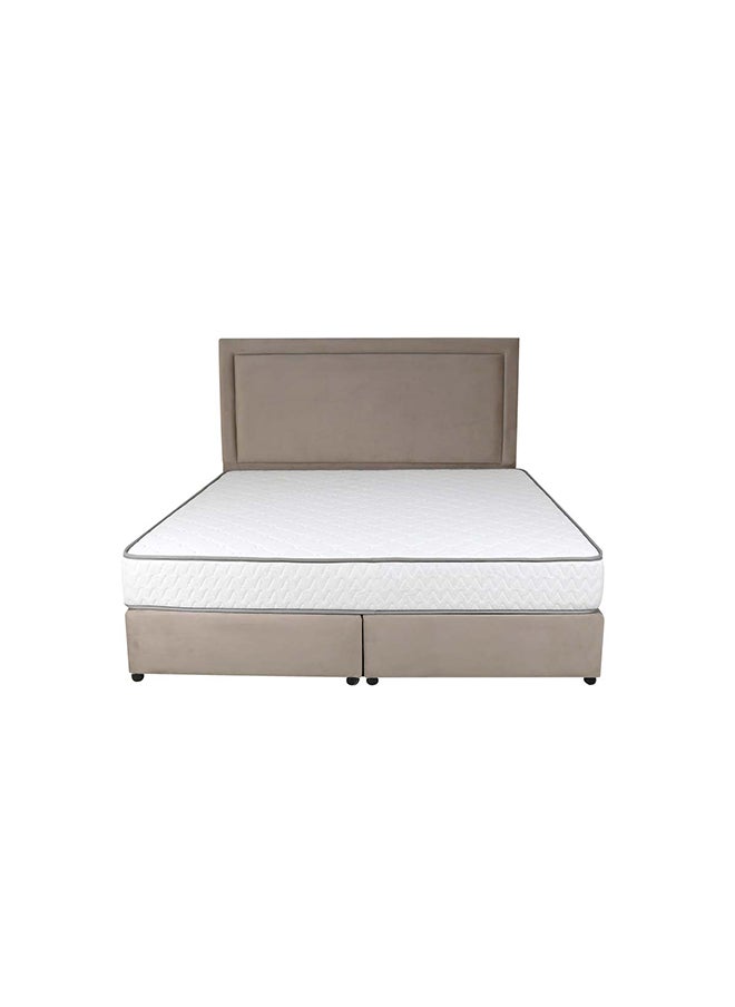 Bed and Mattress Zone Velvetine Upholstered Bed 203 X 160 Queen Size Muted Beige Color, Mattress Size-200x160cm (Mattress sold separately)  - Image 3