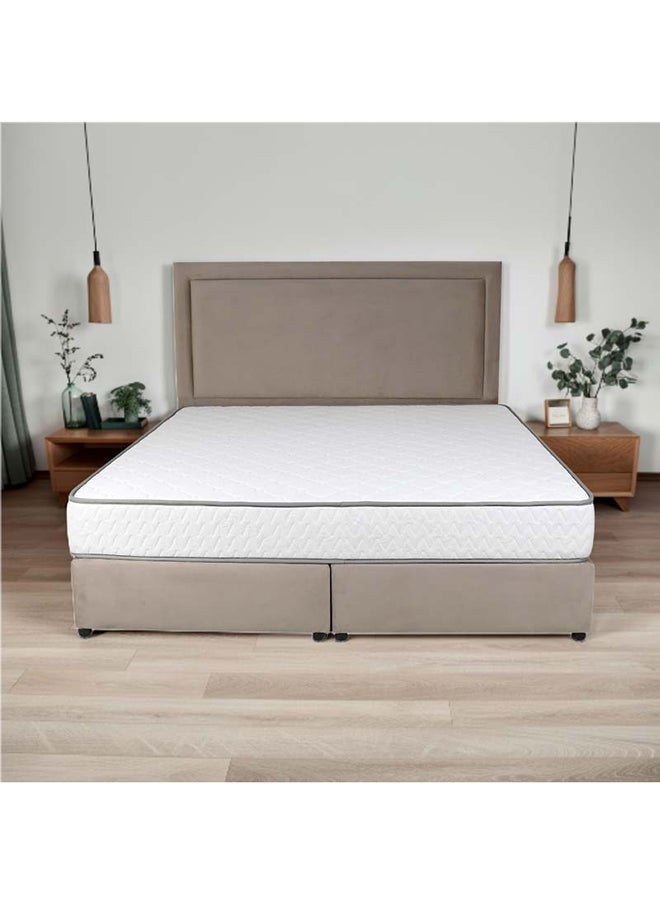 Bed and Mattress Zone Velvetine Upholstered Bed 203 X 160 Queen Size Muted Beige Color, Mattress Size-200x160cm (Mattress sold separately)  - Image 1