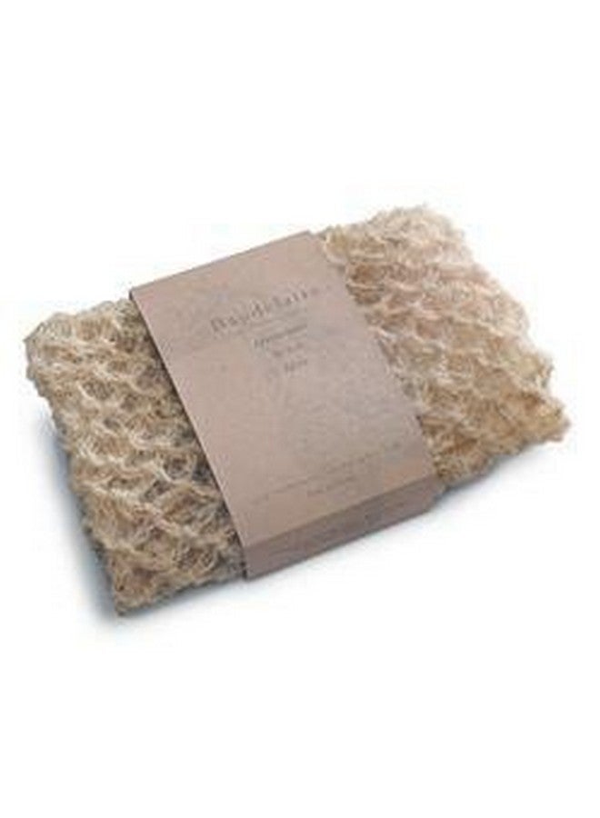 Baudelaire Horsehair Wash Mitt, 1 EA