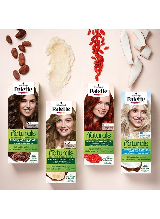 Palette 1-Piece Permanent Natural Colours Cream Medium Brown - Image 5