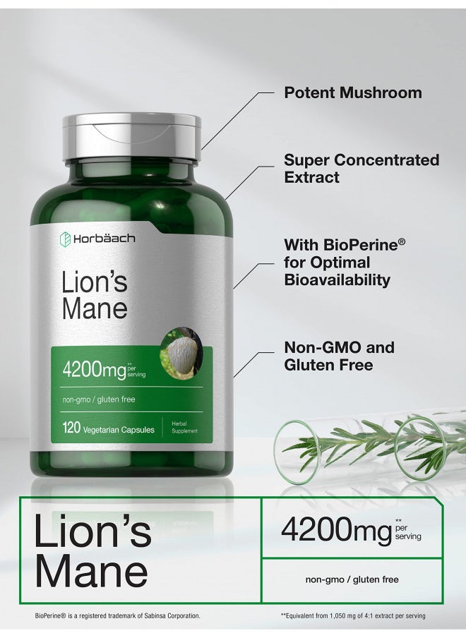 Horbaach Lions Mane Mushroom Extract, 4200mg, 120 Capsules, Vegetarian, Non-GMO, Gluten Free Supplement by Horbaach  - Image 5