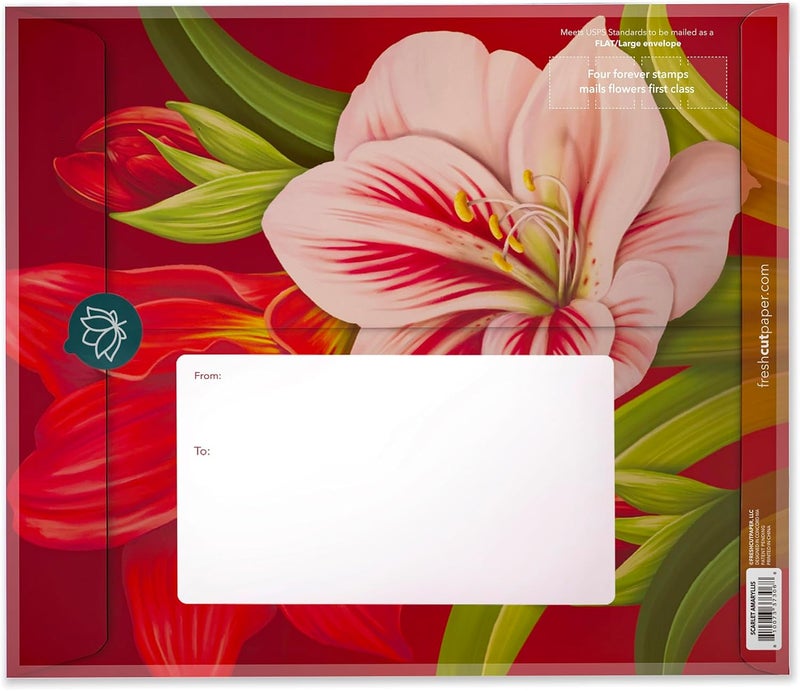 Freshcut Paper Pop Up Cards, Scarlet Amaryllis, 16 Inch Life Sized Forever Flower Bouquet 3D Popup Greeting Cards, Christmas Cards, Holiday Gift Cards with Note Card and Envelope - Image 3