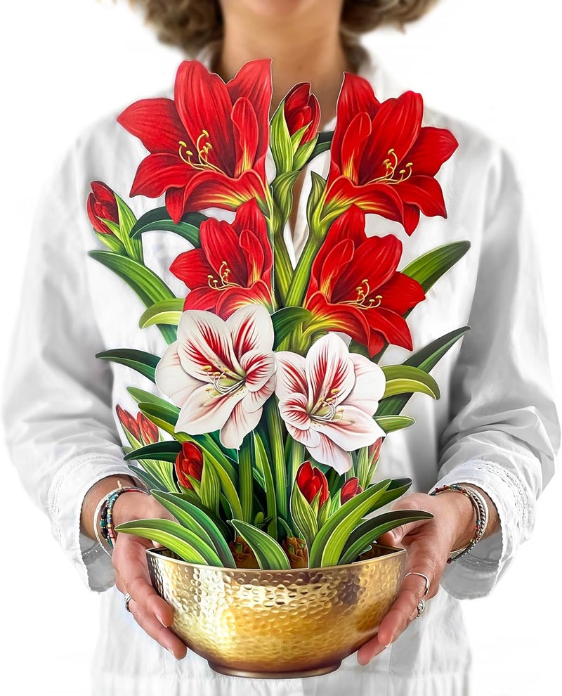 Freshcut Paper Pop Up Cards, Scarlet Amaryllis, 16 Inch Life Sized Forever Flower Bouquet 3D Popup Greeting Cards, Christmas Cards, Holiday Gift Cards with Note Card and Envelope - Image 1