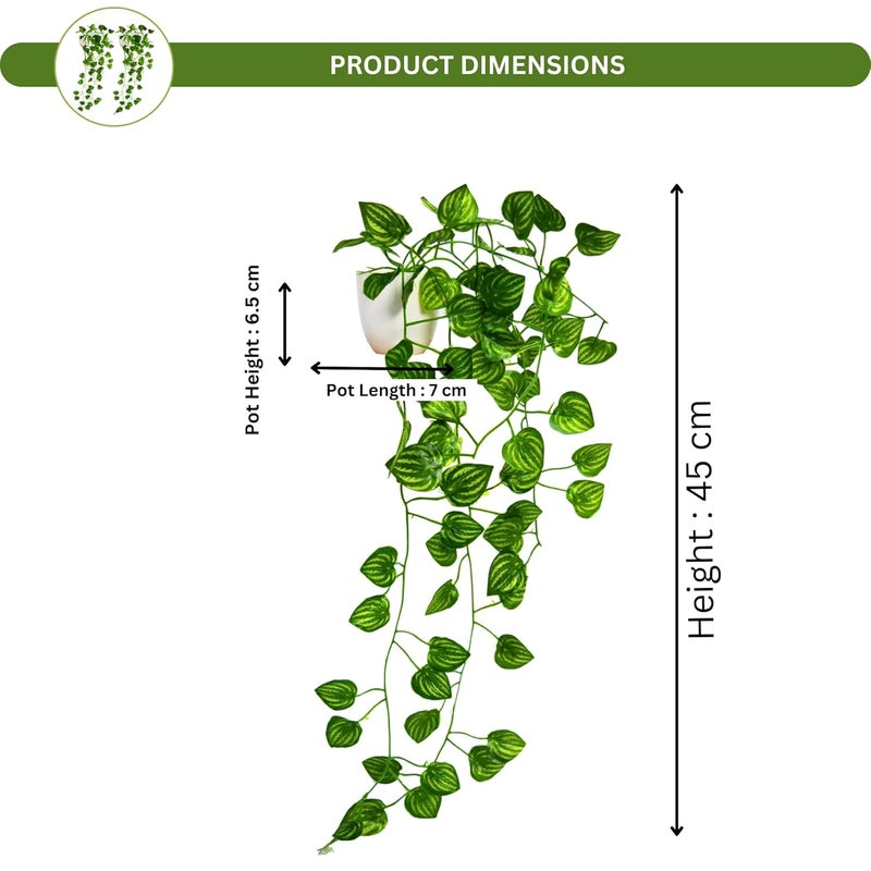 fancymart Artificial Vine Plant Falling with Pot: Pack of 2 (Natural Touch & Feel) - Home and Office Decor with Small Size Pot (45 x 17 x 7 CM) - Image 3