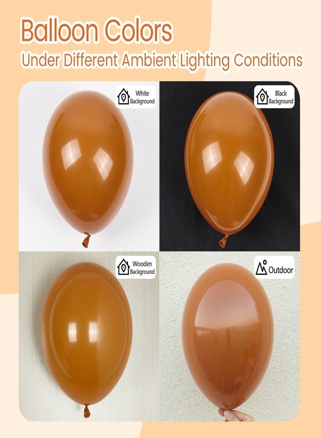 awenztech Burnt Orange Balloons 12inch, Burnt Orange Latex Balloons 50pcs Party Balloon for Fall Themed Bridal Baby Shower Wedding Graduation Birthday Party Decorations - Image 4