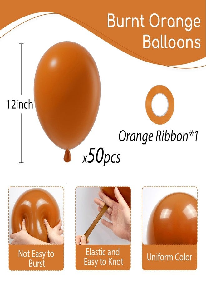 awenztech Burnt Orange Balloons 12inch, Burnt Orange Latex Balloons 50pcs Party Balloon for Fall Themed Bridal Baby Shower Wedding Graduation Birthday Party Decorations - Image 2